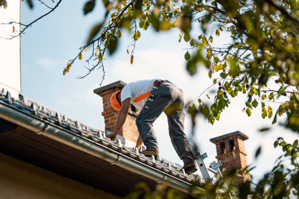 Best Roof Ventilation Installation  in Maunawili, HI